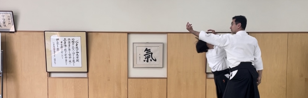 心身統一合氣道 豊中岡町教室 | 武道・道場ナビ