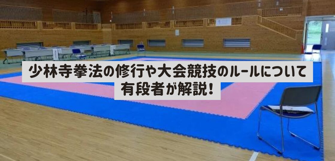 【値下げ交渉歓迎】少林寺流武道教範　箱有り 少林寺拳法の修行や大会競技のルールについて有段者が解説！ | 武道