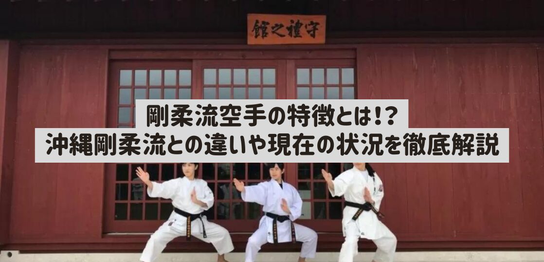 沖縄 空手 剛柔流 組手 静かなる力