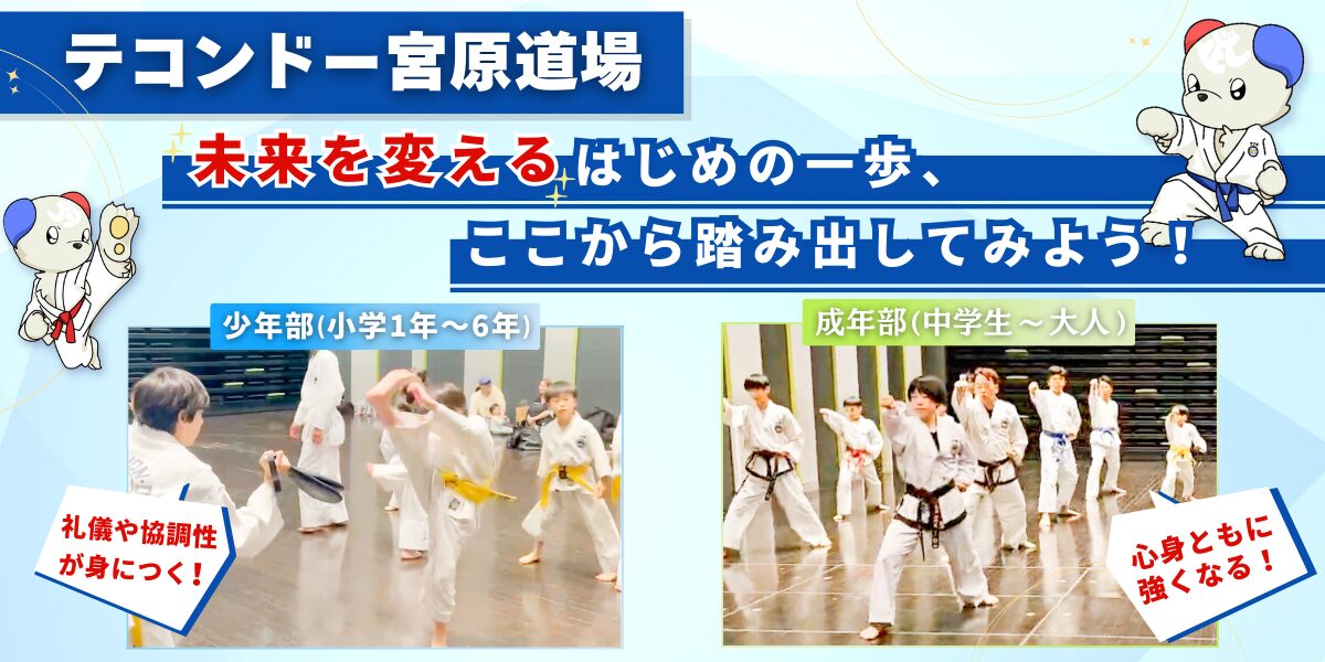 テコンドー埼玉宮原道場の稽古