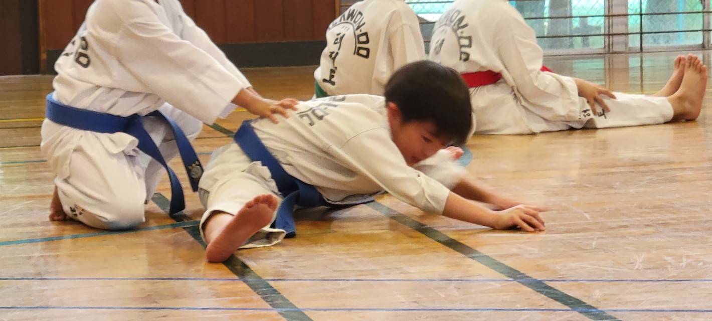 インフィニティテコンドー柏さかさい道場の稽古風景