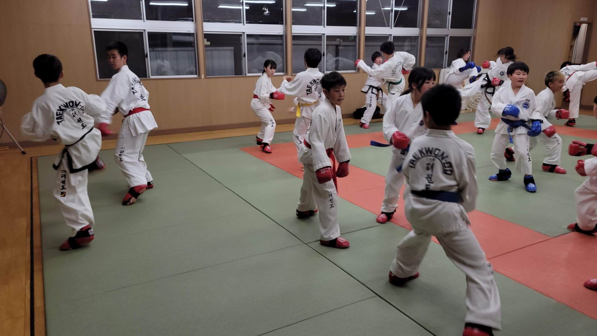 インフィニティテコンドー流山道場の稽古