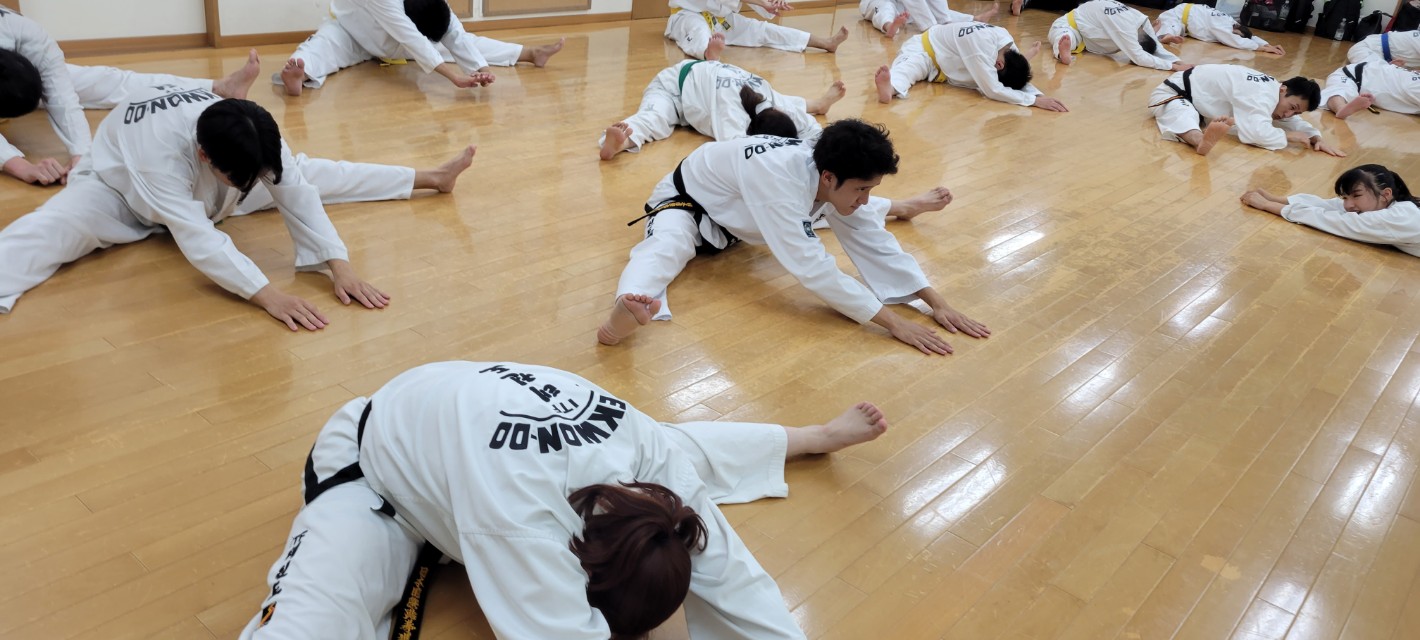 インフィニティテコンドー新松戸道場の稽古風景
